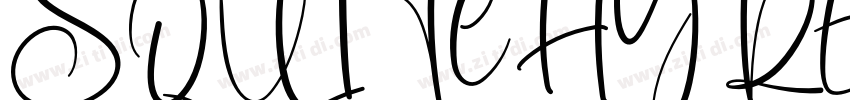 SQUITCHY REGULAR字体转换